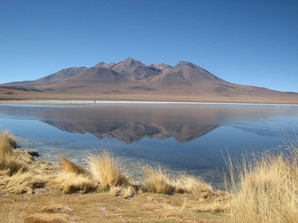 Laguna Canapa in the Uyuni salt flat tour
