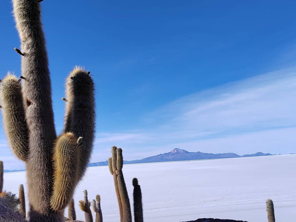 Salt flat tour scene